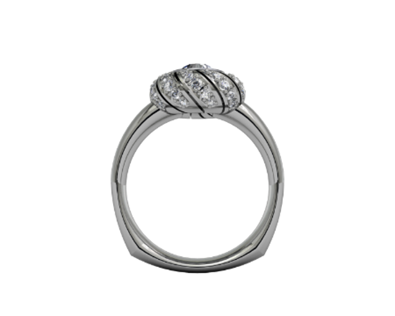 Picture of Fashion Ring 00336-00