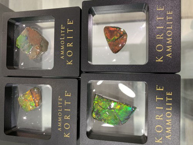 Picture of Korite Ammolite small hand specimen